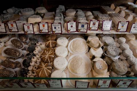 There were so many kinds of cheese in this shop.  I picked up a couple pieces, bought a baguette some olives and headed back to the park for lunch.