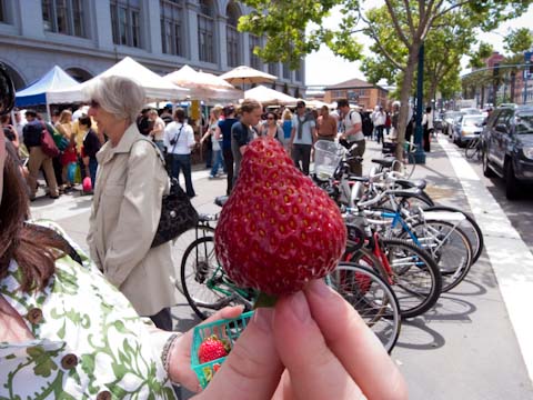 Fresh, red, ripe, strawberries from the Farmer's Market