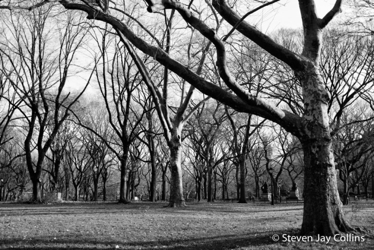 L9990080-Edit-1024x684