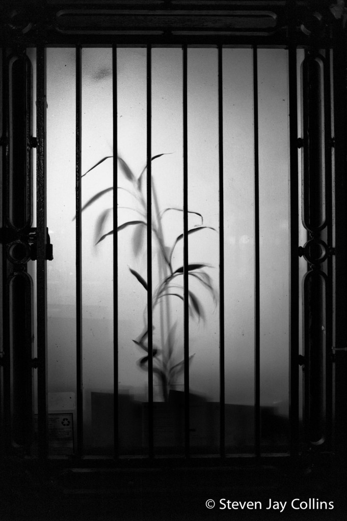 L9996453-Edit-681x1024