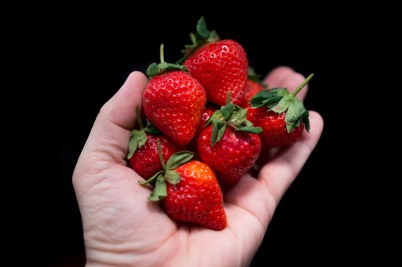 These were as good as they look.