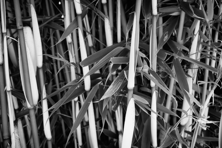 20130702-DSC00045-Edit