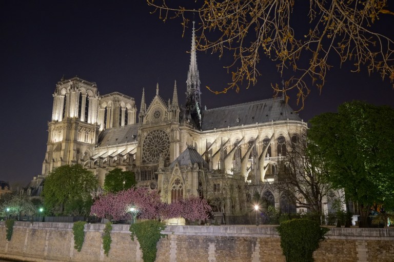 Colorful Notre Dame at night.