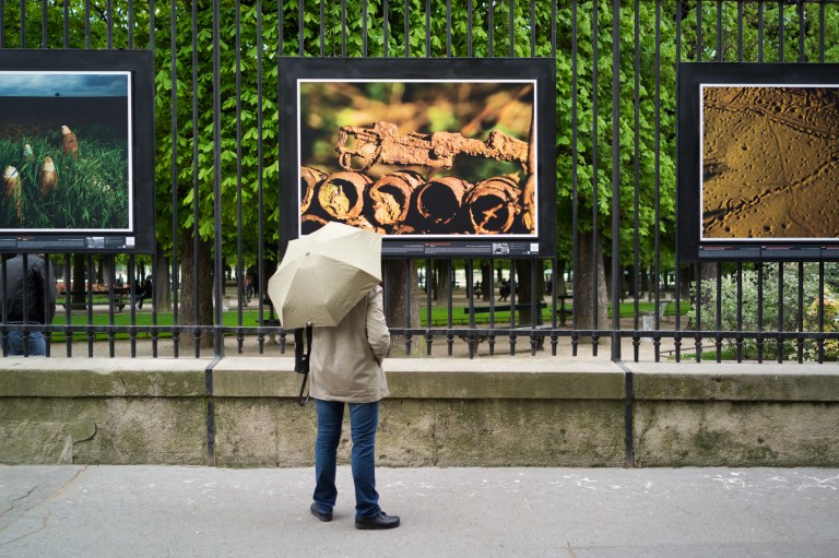 More art around the park.