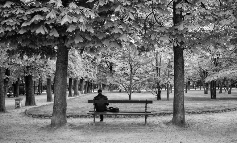 Jardin du Luxembourg - Sony RX1r.  Yellow filter applied in Silver Efex Pro 2.