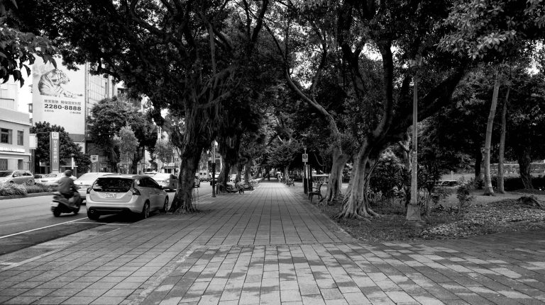 One of the few open spaces I found on my walk home today.