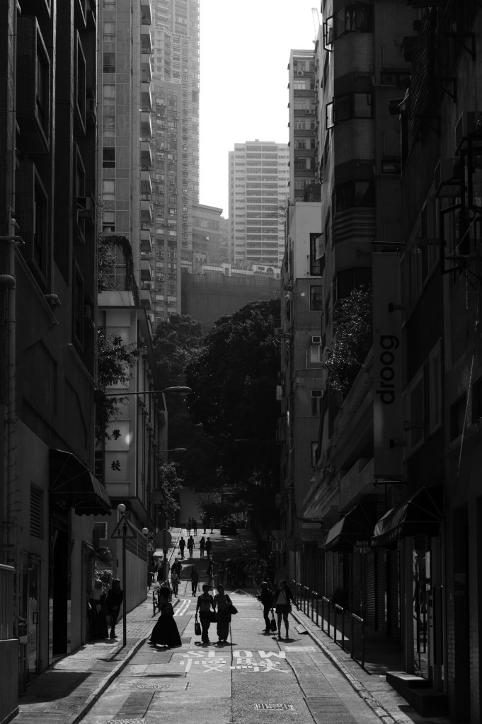 Leica M9 with 50mm Summicron