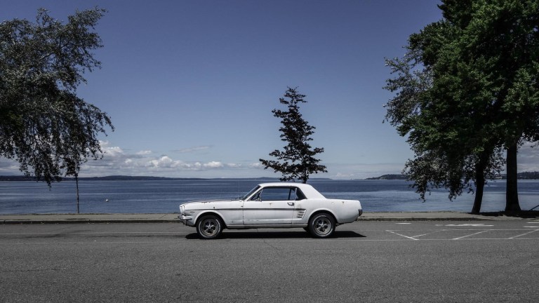 14403856540_fe16d3a76c_o