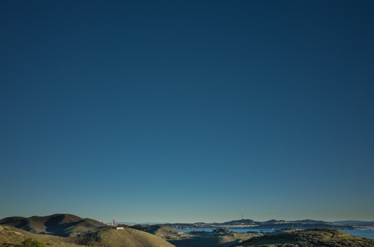 An odd crop with San Francisco in the background. (Ricoh GR)