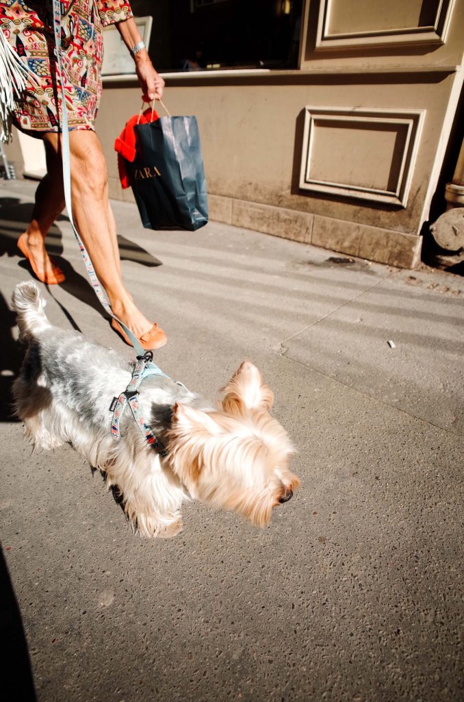Walking the Dog - 6th Arr., Paris. (Ricoh GR)