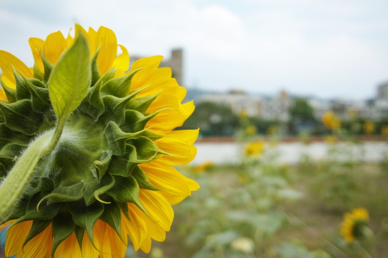 Looking out on the world
