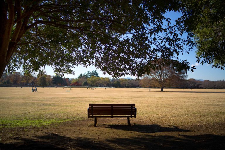 Park bench looking out onto a large open field. (Sony RX1r)