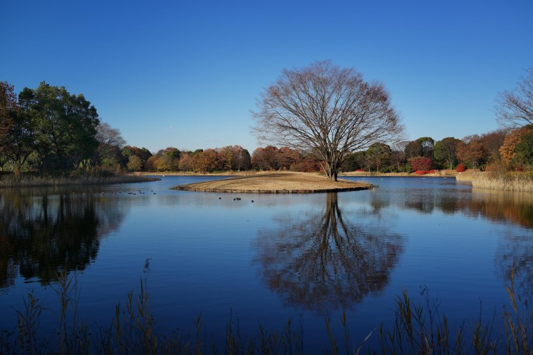 20131129-DSC01146-Edit