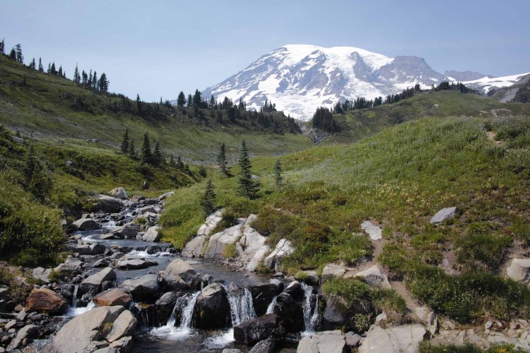 In the full size image there are insane amount of detail available. (Sigma DP1 Quattro - unedited - straight out of camera jpg)