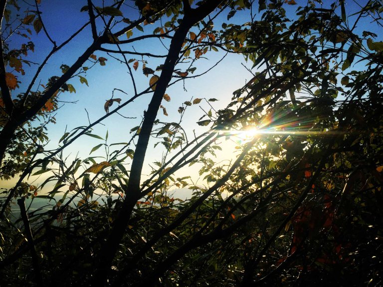 A little before sunset on a small path that parallels one of the main roads.