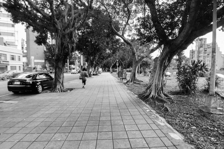 iPhone 6 with BitPlay Snap! 6 and VSCO Film 00 