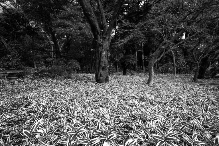 20160221-L1661249-Edit