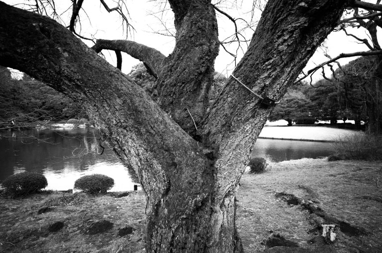 20160221-L1661283-Edit