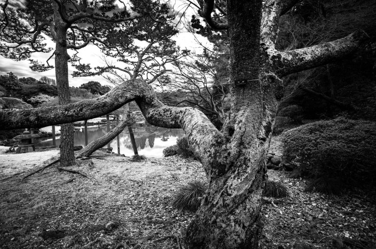 20160221-L1661287-Edit