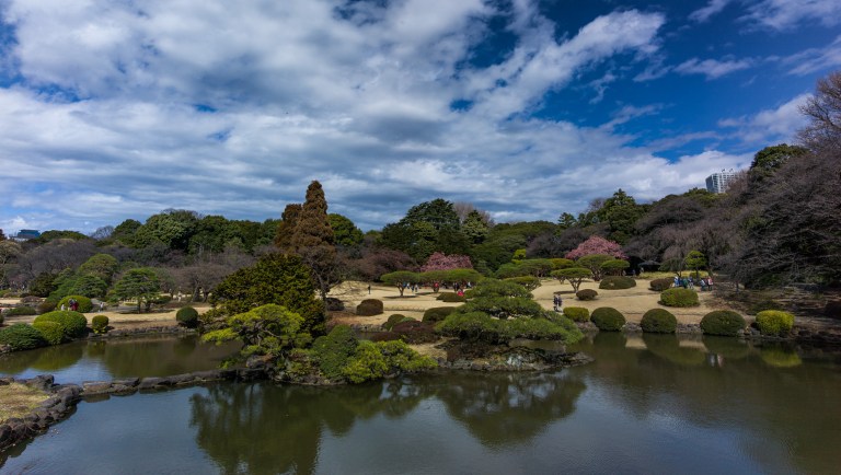 20160221-L1661230_CF