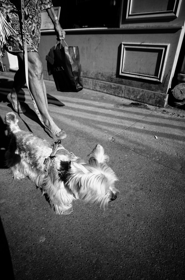 20150423-R0003519-Edit