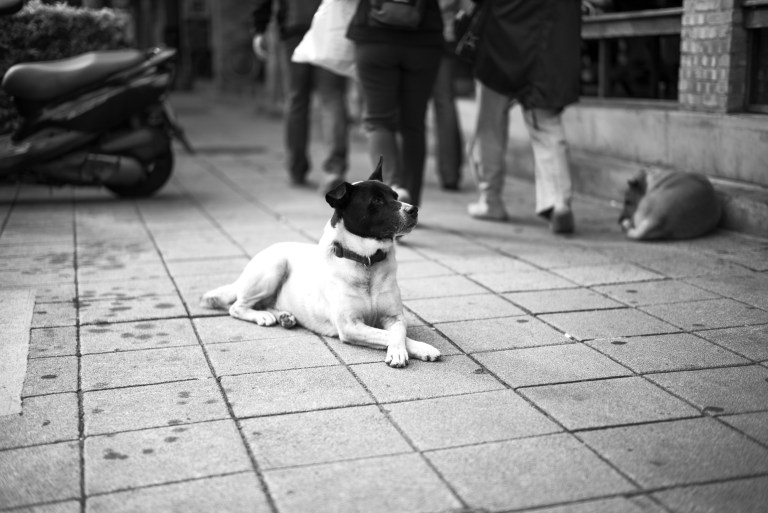 20171203-M2406882-Edit