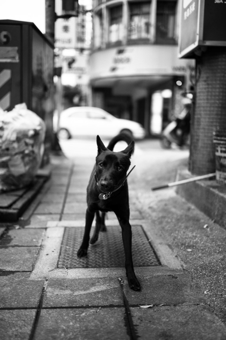 extracted_L1161815-Edit-Edit