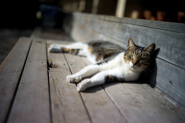 extracted_tokyo november 2011-577-Edit